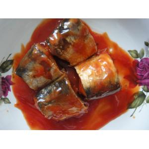 Pure Mackerel Canned Fish In Tomato Sauce / Brine / Oil Excellent Fine Taste
