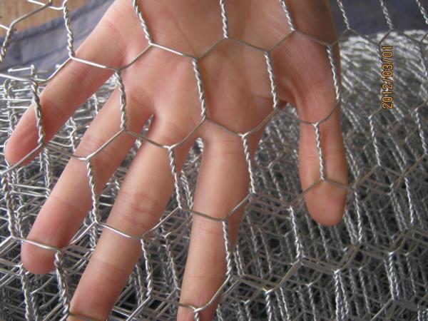 1/ 2 " Galvanized Hexagonal Chicken Wire Mesh / Chicken Mesh Wire Fencing 0.5mm
