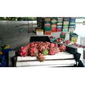 China Avocado Orange Fruit Washing Waxing Drying And Grading Sorting Machine supplier
