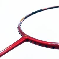 China Shuttlecock Carbon Fiber Badminton Racket Light Badminton Racket D8 Dmantis on sale