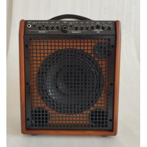 8" Dual Twin Channels AERs Style Acoustic Guitar Amplifier 60W