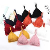 China Seamless Sexy Underwear Bra Panty Sets V Solid Nylon Spandex Nylon on sale