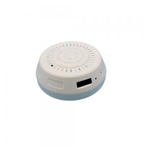 Home Security Motion Detection 1080p Smoke Alarm Security Camera With Night Vision