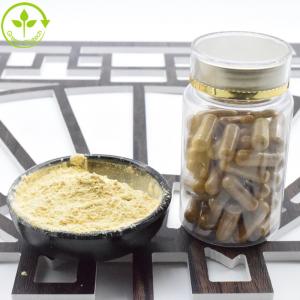 Hot Sale China Supplier Fresh Ginseng Root Extracts