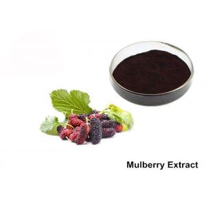 Natural Mulberry Extract Powder