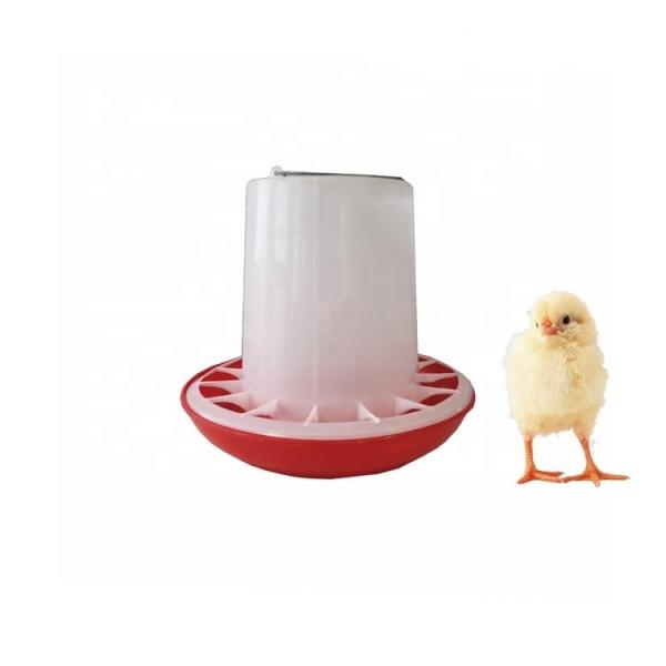 6kg New Material Plastic Feeder And Drinker For Chicken CoopJumbo / Poultry Feeding Drinker Cheap Promotion