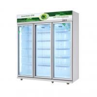 China Large Capacity Glass Door Commercial Beverage Cooler Round Interior Corners For Easy Cleaning on sale