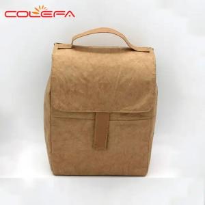 China Brown Dupont Tyvek Paper Lunch Cooler Bag Custom Aluminium Foil Thermal Insulation supplier