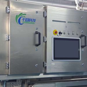 China Dehydrated Sweet Potato Cube Sorting System Identification and Advanced Imaging Sorting Solution wholesale