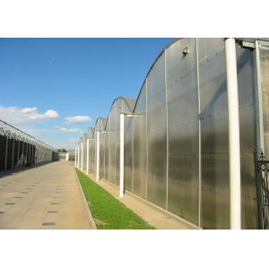 China Flower Large Polycarbonate Greenhouse Strong Thermal Insulation Sides Ventilation supplier