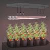 Custom Under Canopy Grow Lights 4Ft Dimmable LED Grow Lights 120W