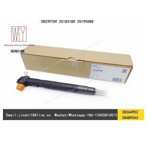 Delphi Genuine Common Rail Injector 28264952, 28489562, 28239769 for GM, Captiva 2.0D 25183185, 25195088