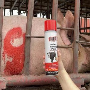 China Aeropak Long Lasting Livestock Marking Paint Marker Paint For Cattle And Pigs supplier