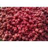 China 2019 New Crop Fresh IQF Frozen Raspberry Quick Frozen Foods wholesale