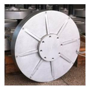 50W 250RPM Disc coreless permanent magnetism generator (PMG), outer rotor three phase permanent magnet alternator