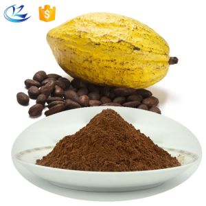 China Ingrédients de cacao noir traité à la hollandaise en poudre non sucré sans gluten supplier