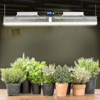 MUIZLUX 2021 Newest uv ir indoor bar led plant grow light full spectrum Wholesale custom lm301b greenhouse light