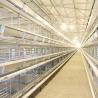 China Q235 Steel Wire Layer Chicken Cage Custom Design With Feeding / Drinking System wholesale