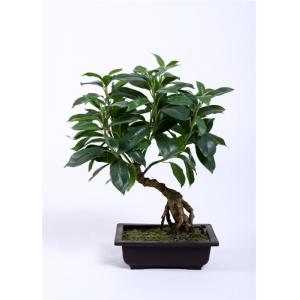 Premium Artificial Bonsai Tree , Artificial Decorative Trees Podocarpus Macrophyllus