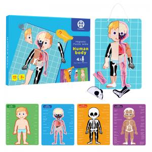 Body Parts Organs Puzzle Human Anatomy Puzzle Toys Boy Girl Anatomy Play Set For Kids