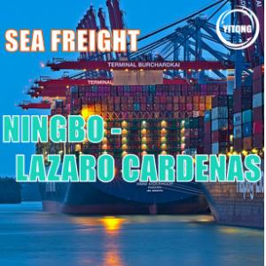 China Ningbo to Lazaro Cardenas Global Sea Freight Logistics Direct line supplier