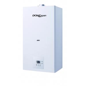 Balanced Flue Wall Hung Gas Boiler With Programmable Controls