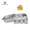 China 150KG 380V Lemon screening and grading machine stainless steel fruit sorting machine citrus fruit sorting machine wholesale