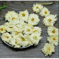4003 Juhua Chinese herbal flower tea Florists chrysanthemum flower
