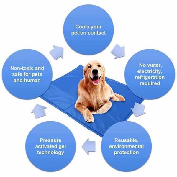China Réfrigération d'été Tapis pour animaux de compagnie en latex PVC et nylon Lit pour chat et chien avec glace Soie fraîche supplier