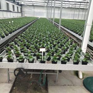 ABS Plastic Greenhouse Accessories Greenhouse Rolling Bench PEP Film Covering