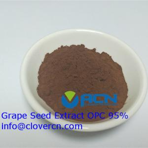 ACNS00199 opc grape Grape Seed Extract OPC 95% grape supplement/Polyphenols 85% | A Clover Nutrition Inc | proanthodyn