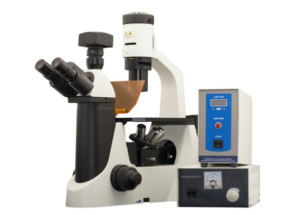 LED Trinocular Inverted Fluorescence Microscope with CCD color camera