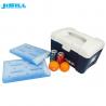 34.8*22.5*3cm Gel Ice Box Used For Biochemical Reagents And Fresh Food Cold