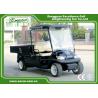 Black Color Lifted Beverage Food Golf Cart 48V 2 Passenger Hotel Buggy Car