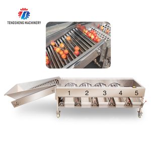 果物 オレンジ 野菜 サイコ パシモン レモン マンダリン パッション 果物 アボカド チェリー マンゴー 梨 マンゴスタイン キウイ 果物加工 生産 検査 分類 選別機