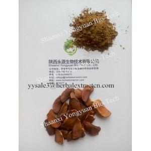 Sky fruit Extract, Fructus Swietenia Macrophylla Extract, reduce blood fat, reduce blood sugar, Chinese manufacturer