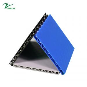 6mm 7mm 9mm 10mm Coroplast Board Polypropylene Honeycomb Panel