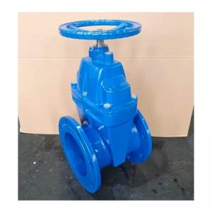 Industry Water Valve Resilient Seat Soft Flange Water Control Stainless Steel Gate Valve