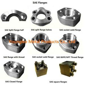 China SAE flanges to standard ISO 6162-1/2, SAE J518C, for hydraulic pipe connection supplier