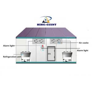 R404A Refrigerated Storage Rooms For  Vegetables And Fruits  10-100 Tons