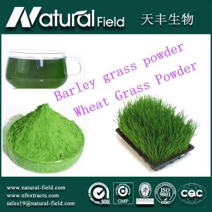 green barley grass powder