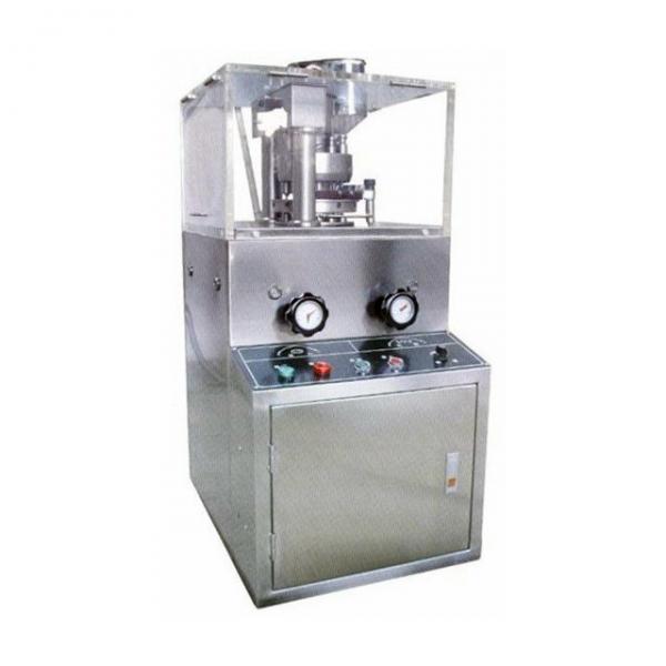 Pharmaceutical Equipment Rotary Tablet Press Machine For Dishwsher Salt Tablets