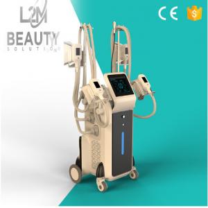 China Cryolipolysis fat freezing weight loss body contouring 4 handles cool sculpting slimming machine supplier