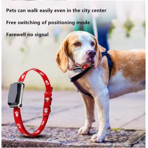 China Beidou Positioning Intelligent 45X45mm PET Training Collars Gps Tracking Collar For Dogs supplier