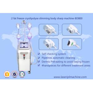 China Shape Body Cryolipolysis Slimming Machine , Lipo Cryo Cryolipolysis Beauty Equipment supplier