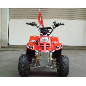 China Small Size 4 x 4 Utility Atv 70cc 90cc 110cc , Kids Four Wheelers With Two Wheel Drive supplier