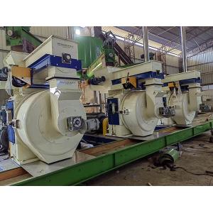 China Automatic 10t/h Wood Pellet Plant Machine Manufacture PLC Control supplier