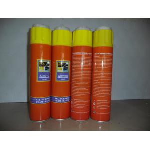 China Household Cleaning Products Carpet Foam Cleaner / Spray Leather Upholstery Cleaners supplier