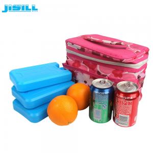 Hot Sale reusable food grade Hard shell plastic reusable gel ice brick for lunch bag