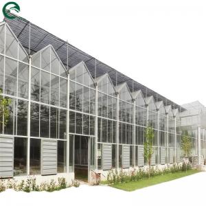 China Good Light Permeability Essential for Venlo Glass Greenhouse in Agricultural Industry supplier
